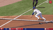 Chicago Cubs Baseball GIF