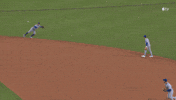 Chicago Cubs Baseball GIF