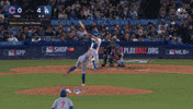 Chicago Cubs Baseball GIF