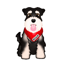 Reggie Brown Cute Dog Sticker by zoopeez