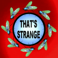 Thats Odd GIF