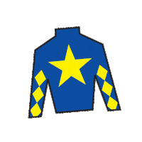 Sport Silk Sticker by Kentucky Derby