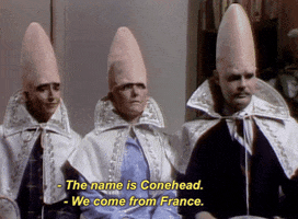 france the coneheads GIF by Saturday Night Live