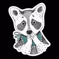 olenavasiv cat dog pig orner GIF