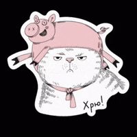 olenavasiv cat dog pig orner GIF