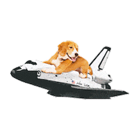 Dillon Francis Dog Sticker by Puppies Make Me Happy