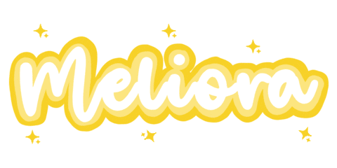 College Rochester Sticker by URAdmissions