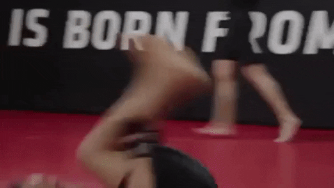 GIF by UFC