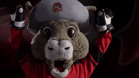 Pumped Up Hockey GIF by Rapid City Rush
