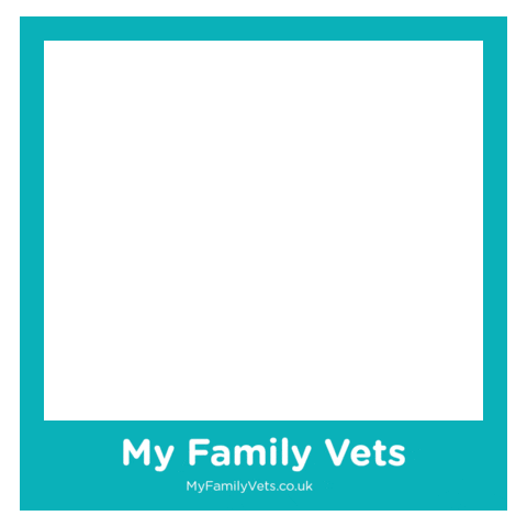 myfamilyvets giphyupload pets frame frames Sticker
