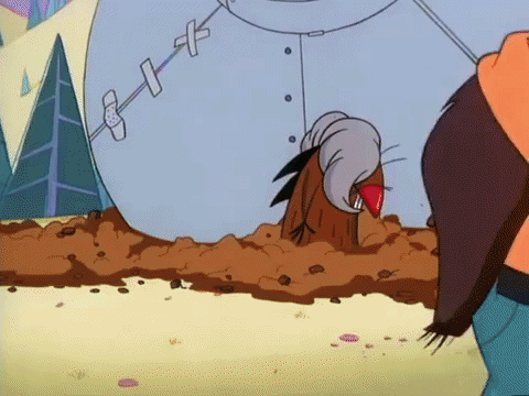 nickrewind giphydvr nicksplat angry beavers giphyab017 GIF