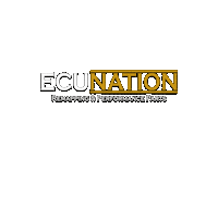 Chiptuning Sticker by Ecunation Remapping Official