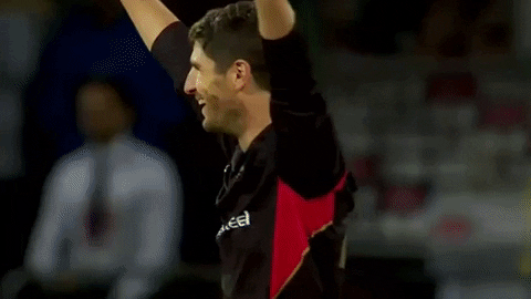 World Record Foxes GIF by Leicestershire Country Cricket Club
