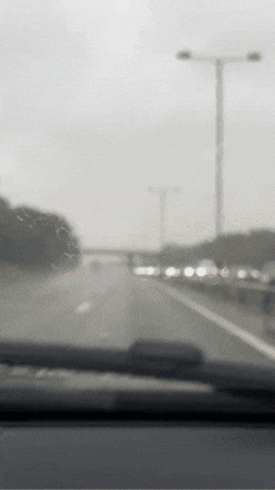 GIF Animado