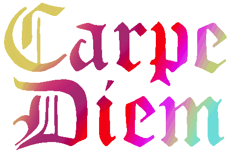 Good Vibes Carpe Diem Sticker