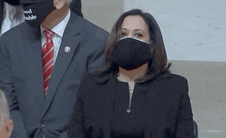 Kamala Harris GIF by GIPHY News
