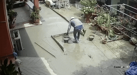 cuteanimalland giphyupload GIF