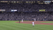 New York Yankees Sport GIF by MLB