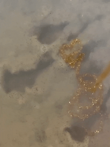 sanneeickholt giphygifmaker art water aesthetic GIF