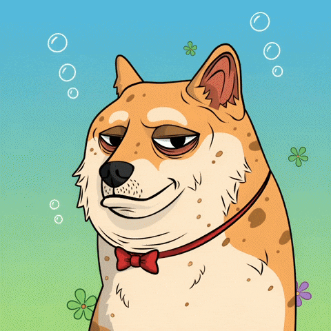 Judging Shiba Inu GIF by Doge Pound