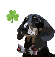 Dog Pet Sticker by Watertown Humane Society