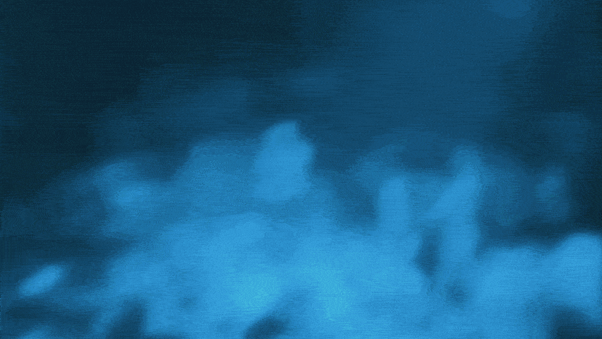 Trampa giphyupload show rave bl GIF