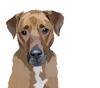 Dog Adopt Sticker by Watertown Humane Society