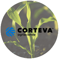 cortevaus corn farmer farming corteva Sticker