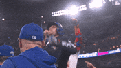 Home Run Baseball GIF by Toronto Blue Jays