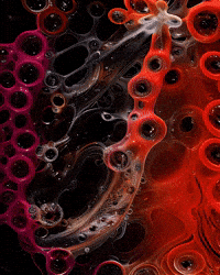 Bg Network GIF by Aleksey Efremov