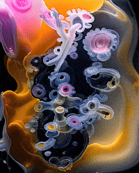 Bg Network GIF by Aleksey Efremov