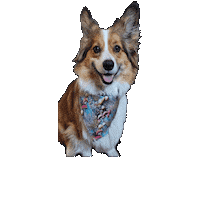 Corgi Mushroom Sticker by Geekster Pets