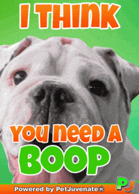 PetJuvenate petjuvenate henlo hooman fren love rescue dogs treatos and woofer for pupper GIF