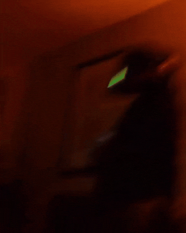 Dance Dancing GIF