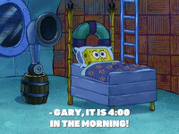 season 8 episode 22 GIF by SpongeBob SquarePants