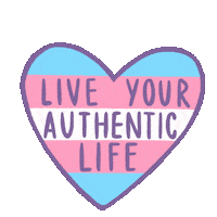Human Rights Heart Sticker
