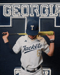 Georgia Tech Baseball GIF by Georgia Tech Yellow Jackets