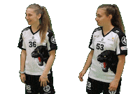 Sport Team Sticker by Panthers Praha