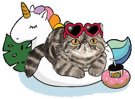 alohapersians cat fun cats chill Sticker
