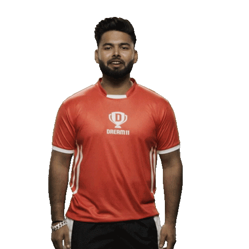 Match Cricket Sticker by Dream11