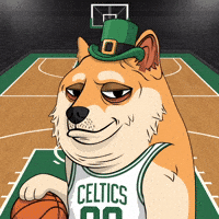 Boston Celtics Basketball GIF by Doge Pound