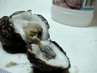 Education Vocabulary GIF by DIIMSA Stock