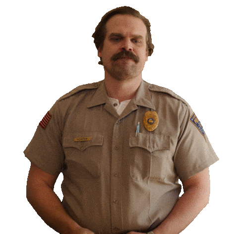 netflixanz giphyupload netflix strangerthings strangerthings3 Sticker