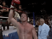 roddy piper wrestling GIF by WWE