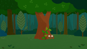 Look Over There Where Are You GIF by Mother Goose Club