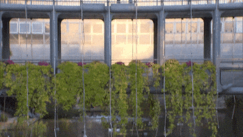 Couple Kiss GIF by The Bachelor