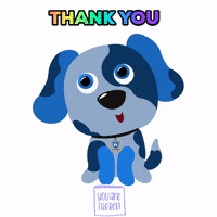 Happy Cat GIF by SAFE Inc