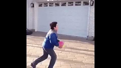 Lemko giphyupload GIF