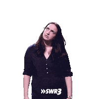 Hurry Up Waiting Sticker by SWR3