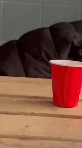 Vividd GIF by thatcloudstudio